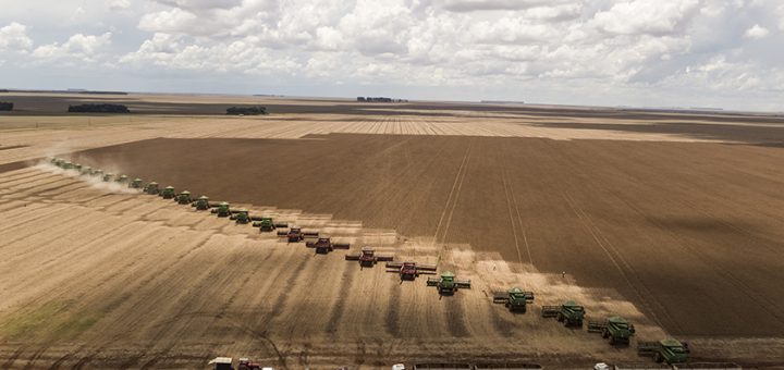Industriële soja-oogst voor de export in de Braziliaanse deelstaat Mato Grosso