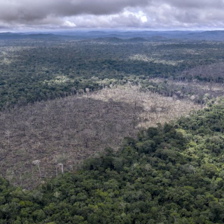 Sommige delen van de Amazone zijn nu zelfs een netto-uitstoter van CO2