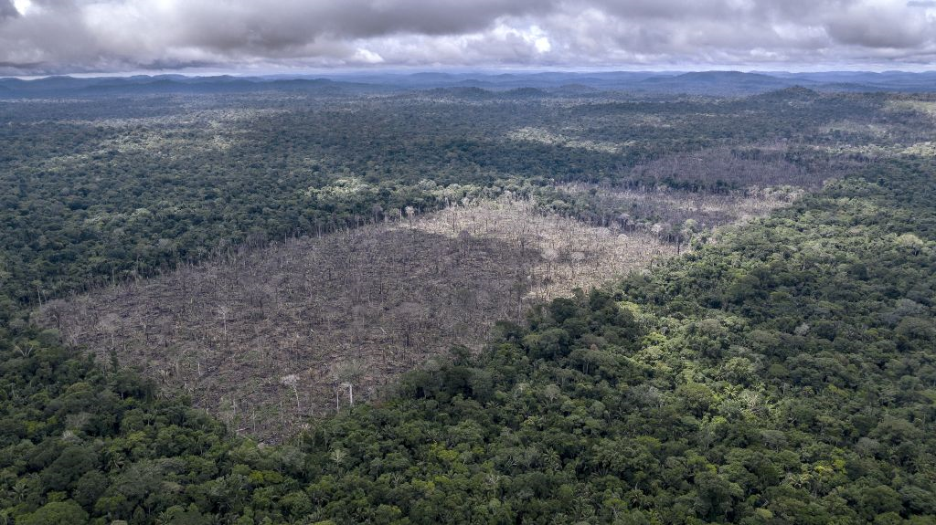 Sommige delen van de Amazone zijn nu zelfs een netto-uitstoter van CO2 