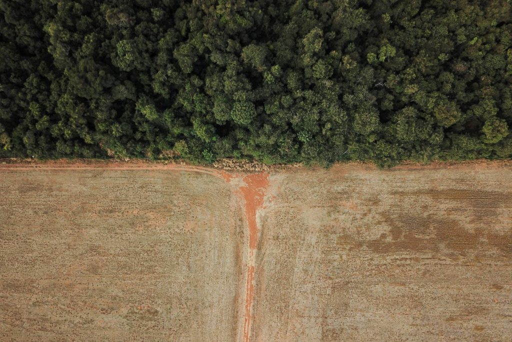 vernietiging van de Cerrado in de deelstaat Mato Grosso, vooral door monoculturen van soja voor export 