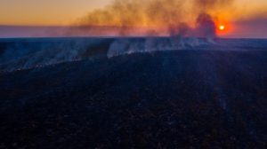 branden bedreigen sinds 2020 het voortbestaan van waardevol natuurgebied in Brazilië