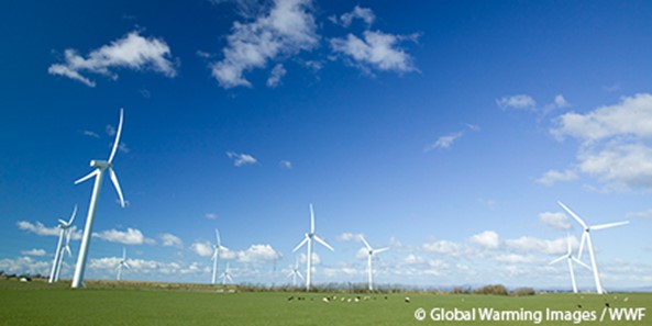 Bijzetten van nieuwe windmolens is in Vlaanderen haast onmogelijk geworden