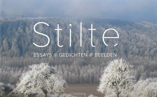 book cover Stilte
