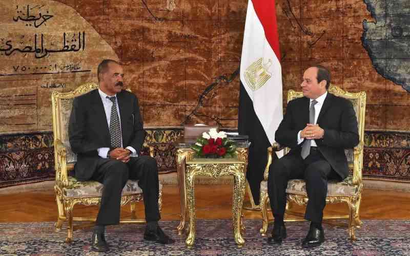 Een ontmoeting tussen president Isaias Afwerki van Eritrea (links) en zijn Egyptische ambtgenoot Abdel-Fattah al-Sissi (rechts) in Caïro, op 9 januari 2018