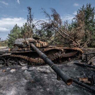 Vooral in het oosten van Oekraïne liepen natuurgebieden enorme schade op door de oorlog (foto: © Serhii Korovainyi).