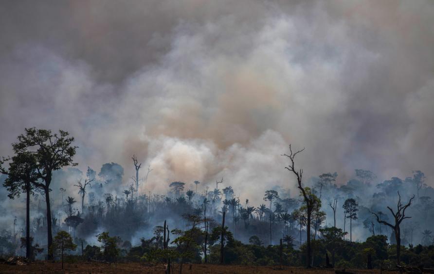 Voorlopig gaat de ontbossing en aantasting van bossen onverminderd door. In 2022 bedroeg de wereldwijde bruto ontbossing 6,6 miljoen hectare en dit is vooral zorgwekkend in tropische bossen.